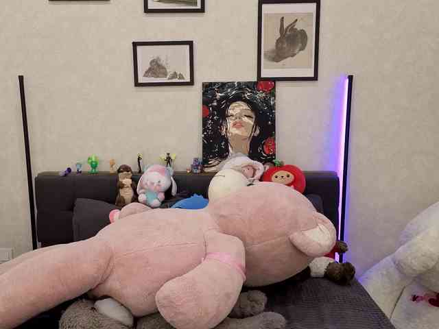 dolly-ll webcam
