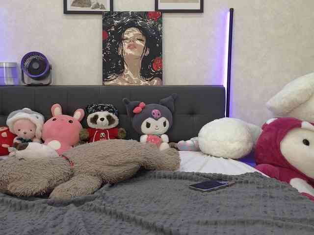 dolly-ll webcam