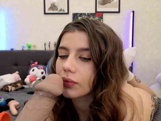 dolly-ll webcam