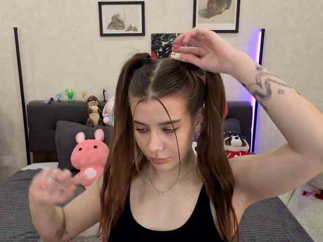 dolly-ll webcam