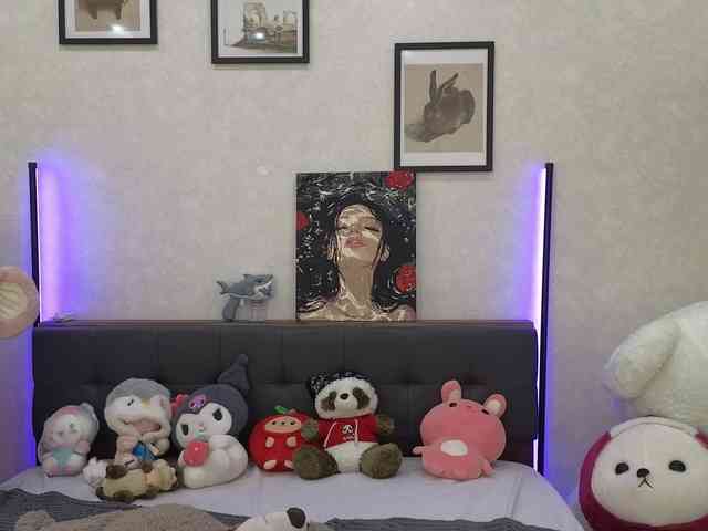 dolly-ll webcam