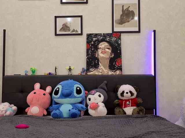 dolly-ll webcam