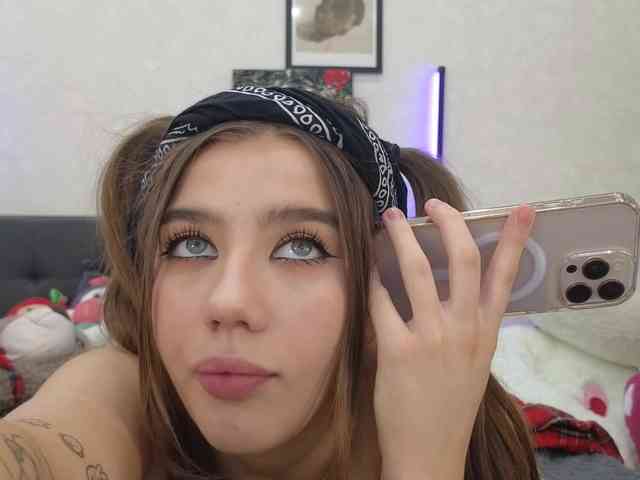 dolly-ll webcam