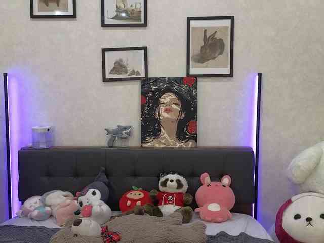 dolly-ll webcam