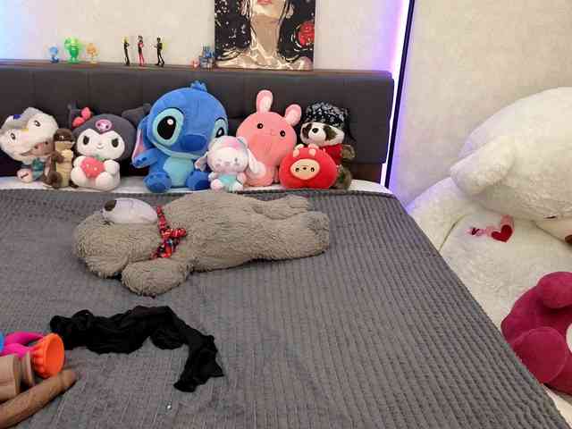 dolly-ll webcam