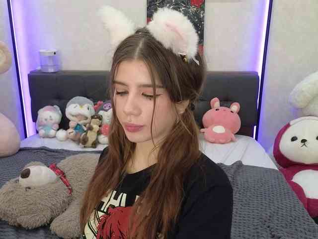 dolly-ll webcam