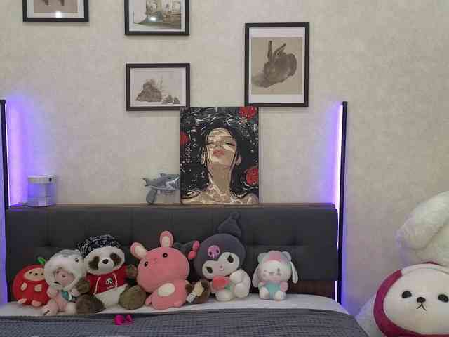 dolly-ll webcam