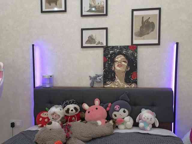 dolly-ll webcam