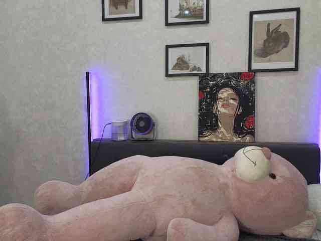 dolly-ll webcam