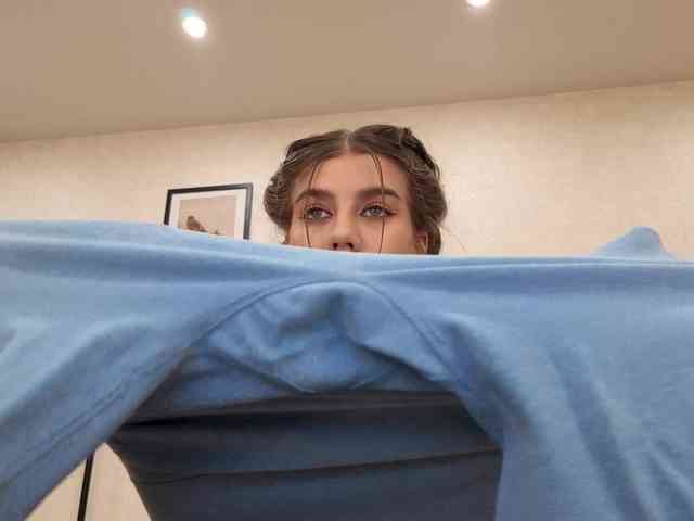dolly-ll webcam