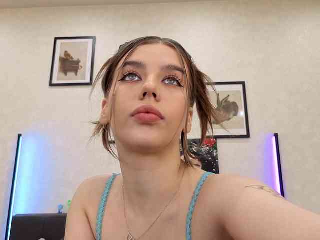 dolly-ll webcam