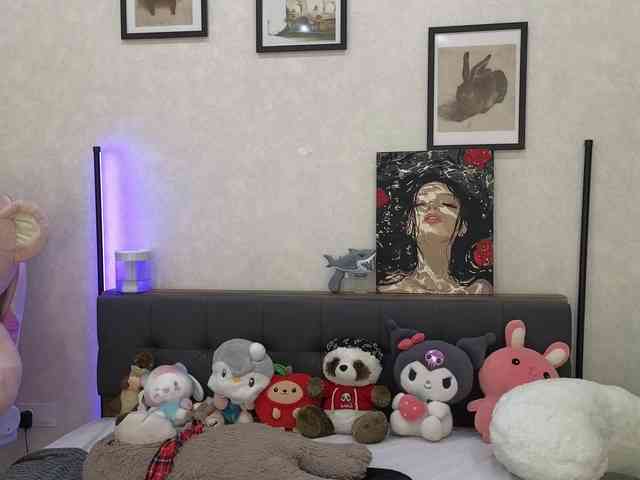 dolly-ll webcam