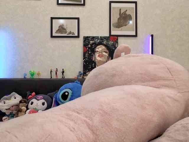 dolly-ll webcam