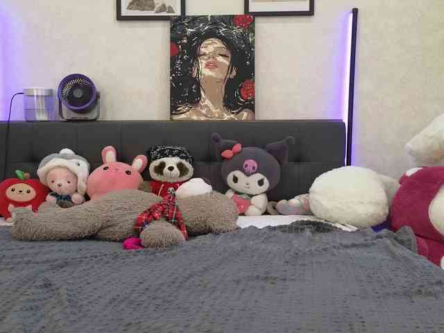 dolly-ll webcam