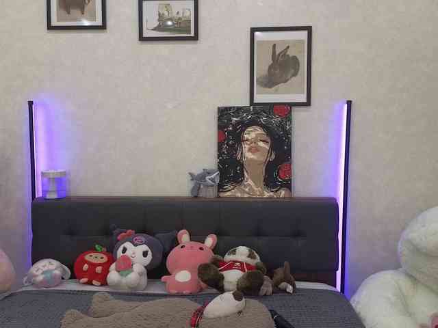 dolly-ll webcam