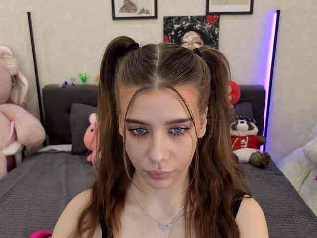 dolly-ll webcam