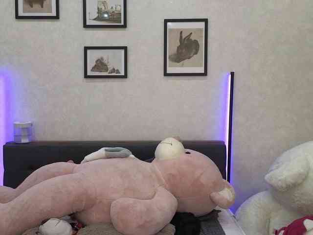 dolly-ll webcam