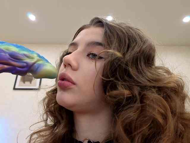 dolly-ll webcam