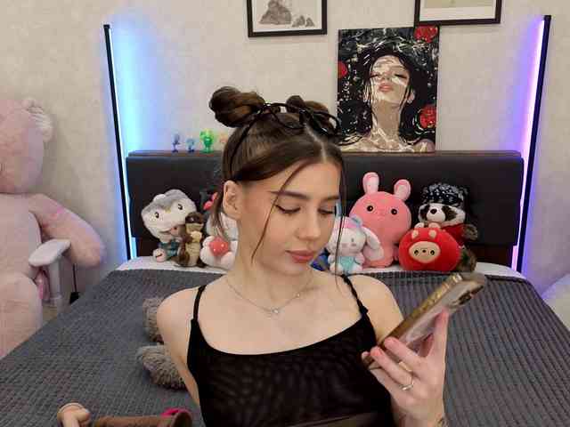 dolly-ll webcam