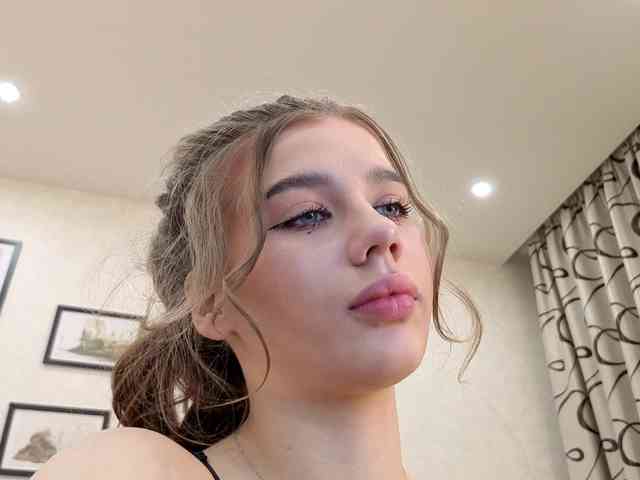 dolly-ll webcam