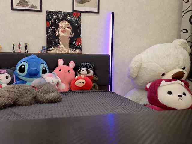 dolly-ll webcam