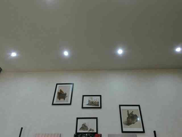 dolly-ll Live Webcam on BongaCams