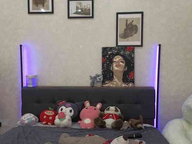 dolly-ll webcam