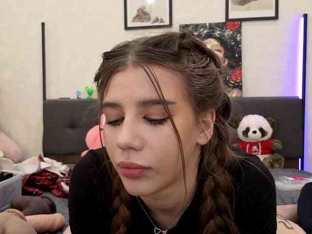 dolly-ll webcam
