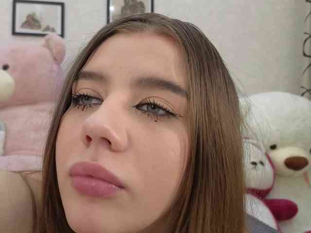 dolly-ll webcam