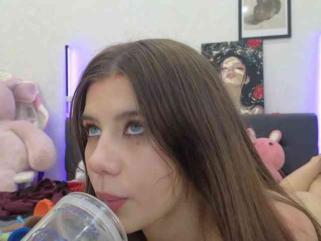 dolly-ll webcam