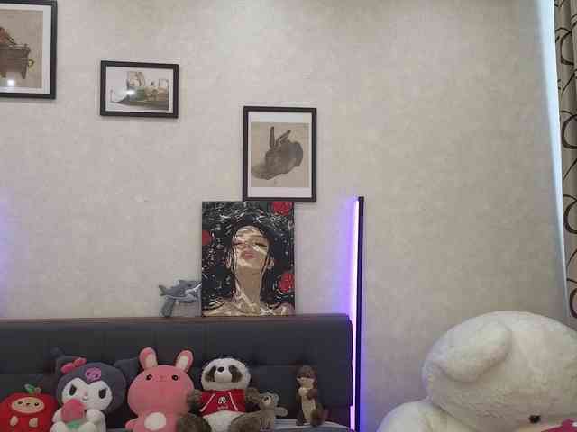 dolly-ll webcam