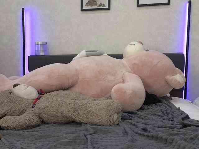 private live webcam Dolly-ll