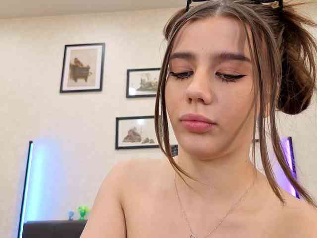 dolly-ll webcam