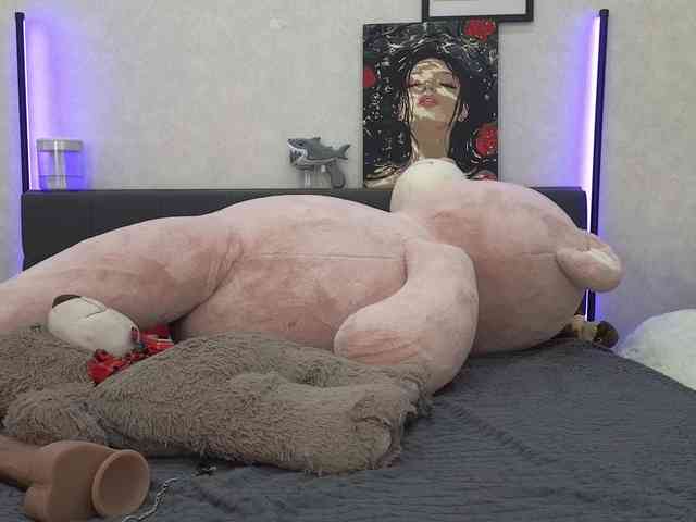 dolly-ll webcam