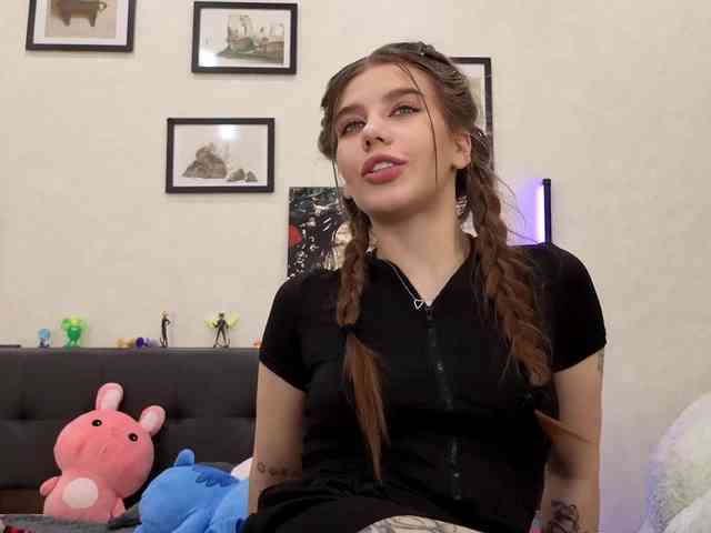 dolly-ll webcam