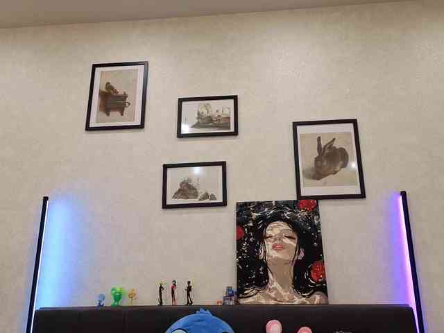 dolly-ll webcam