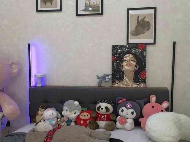 dolly-ll webcam