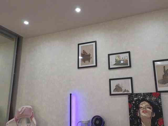 dolly-ll webcam