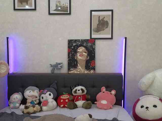dolly-ll webcam