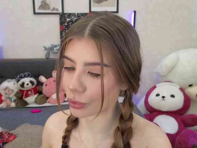 dolly-ll webcam
