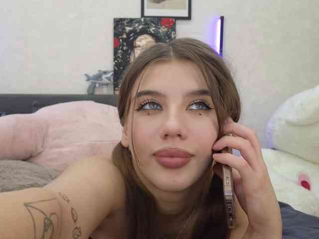dolly-ll webcam