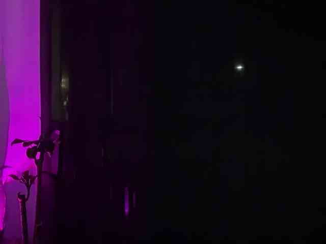 MarcellaGriffin webcam