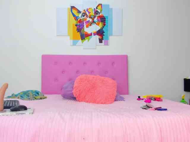 gatica-cat webcam