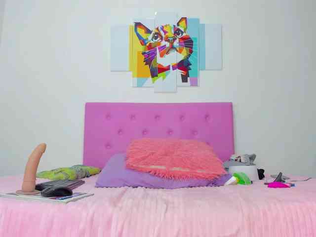 gatica-cat webcam