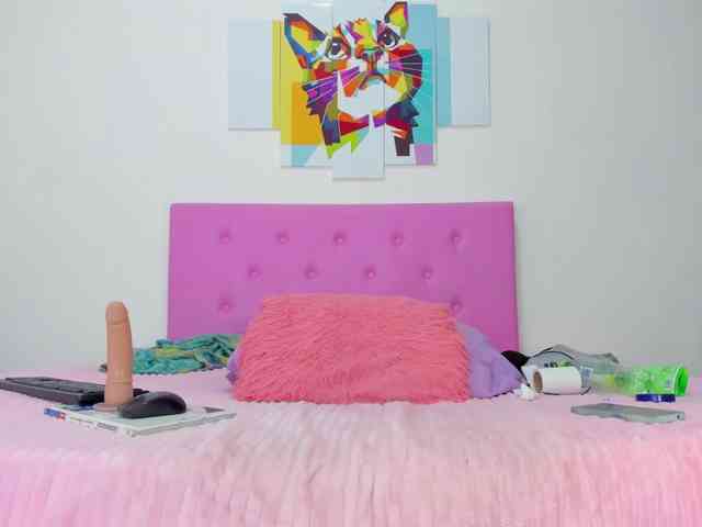 gatica-cat webcam