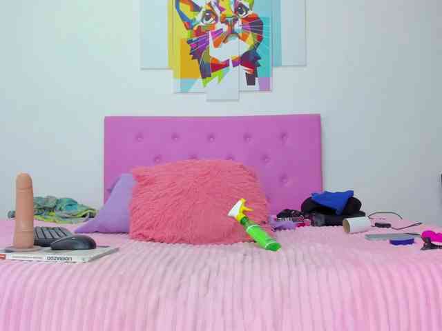 gatica-cat webcam