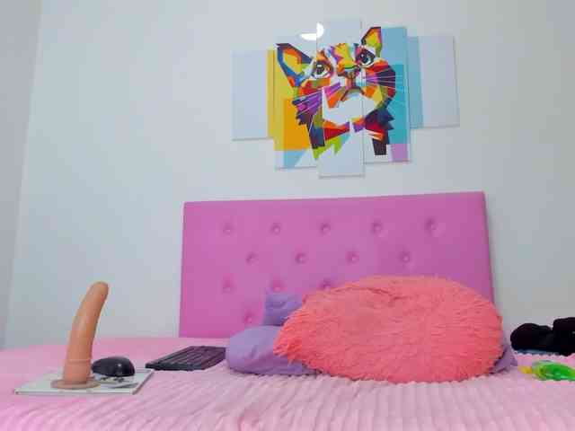 gatica-cat webcam