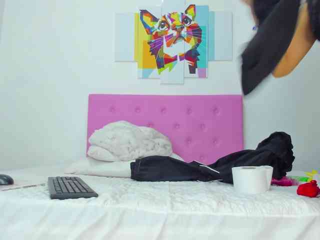 gatica-cat webcam