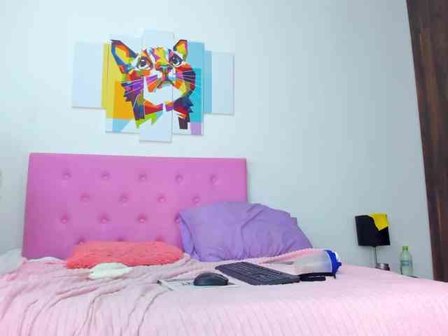 gatica-cat webcam