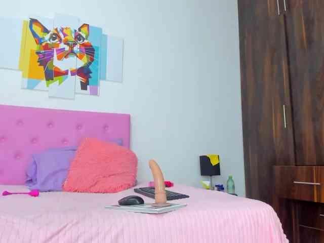 gatica-cat webcam